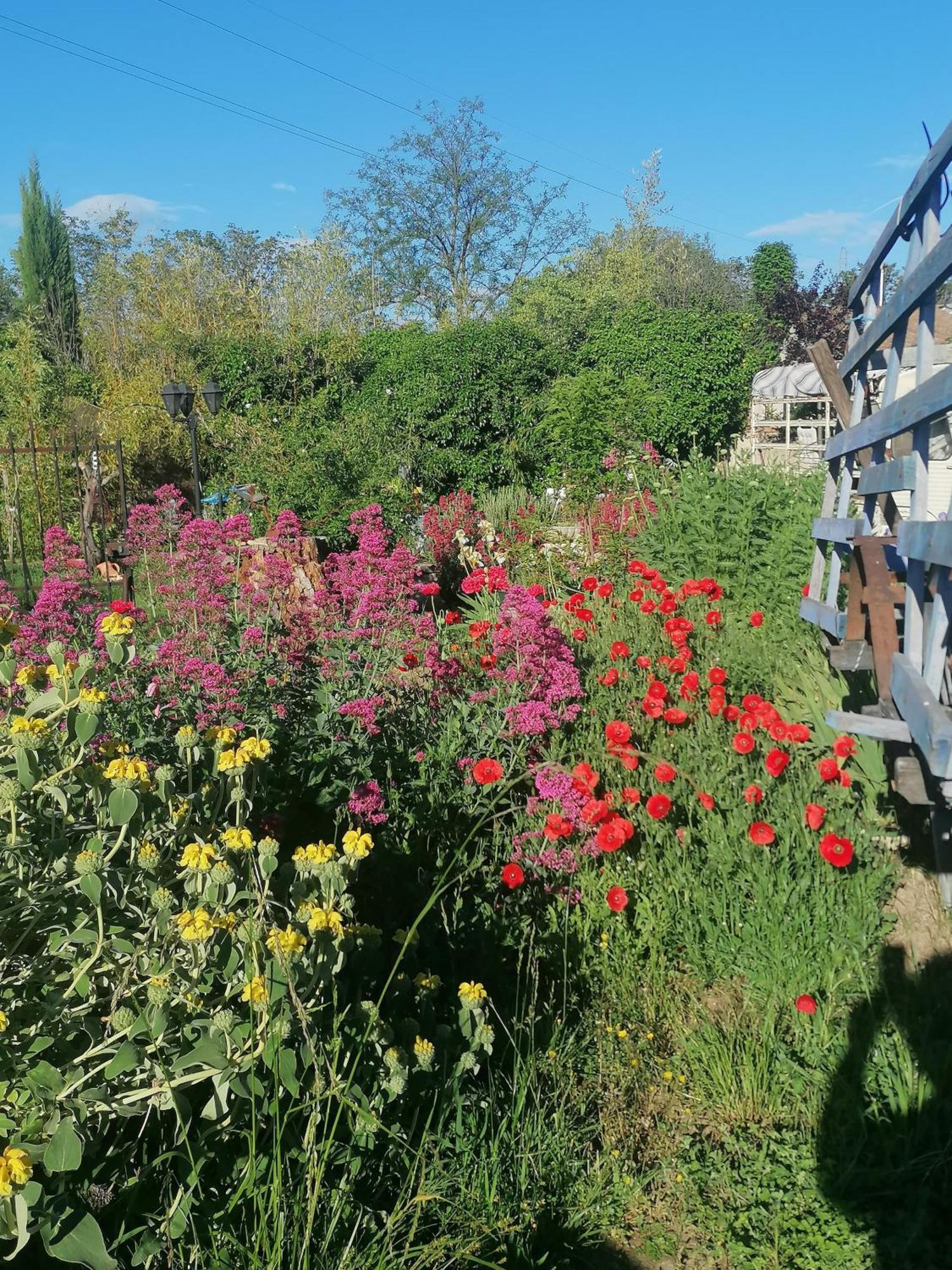 La Fee Viviane Et Michel L'Enchanteur Robion en Luberon Экстерьер фото