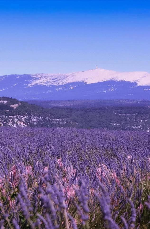 La Fee Viviane Et Michel L'Enchanteur Robion en Luberon Экстерьер фото